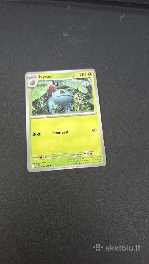 Pokemon - nuotraukos Nr. 3