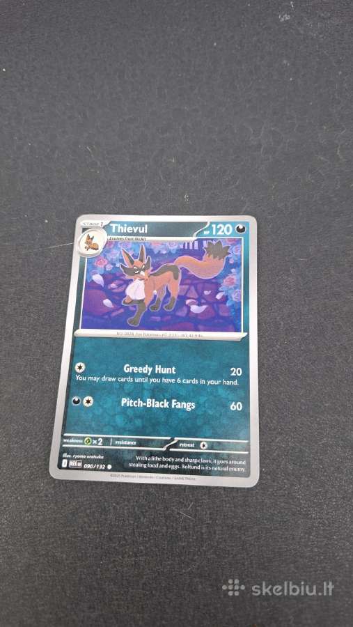 Pokemon - nuotraukos Nr. 5