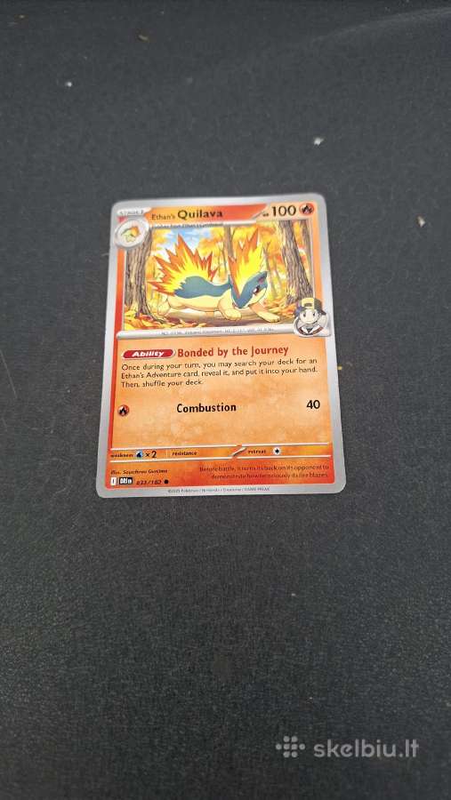 Pokemon - nuotraukos Nr. 13