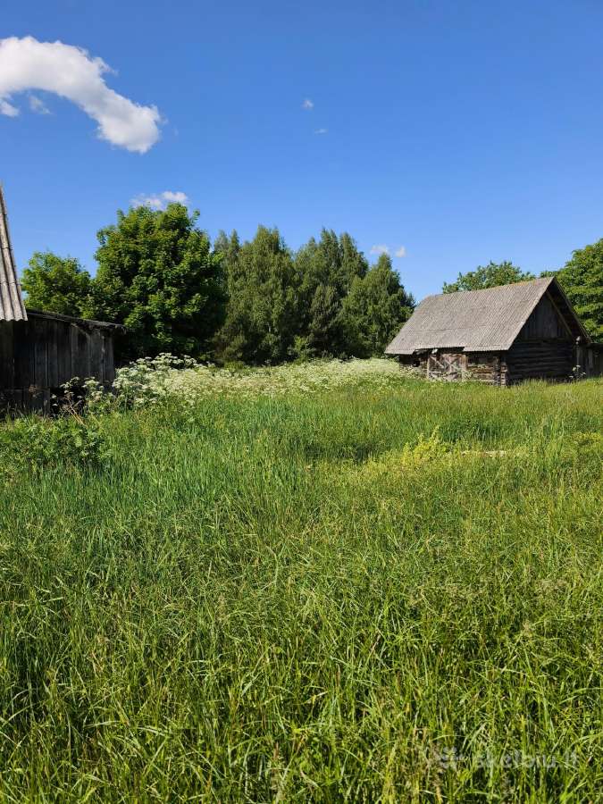30 a sodyba su namu ir ūkin.pastatais- Jonavos r. - nuotraukos Nr. 5