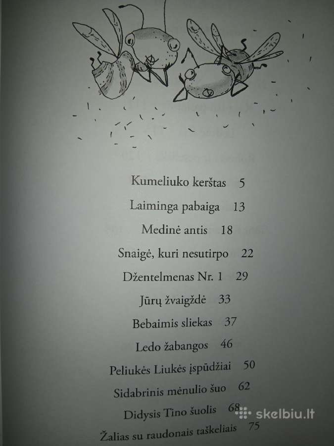 Radinių namelis - nuotraukos Nr. 7