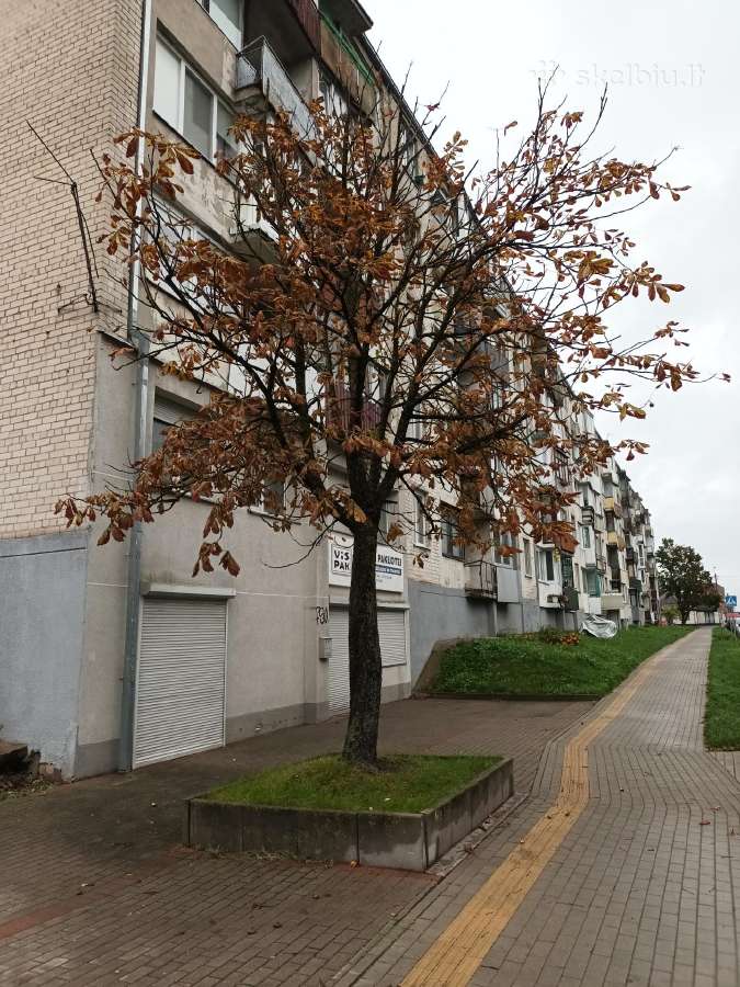 Centrineje miesto dalyje isnuomojamas 1k butas - nuotraukos Nr. 7