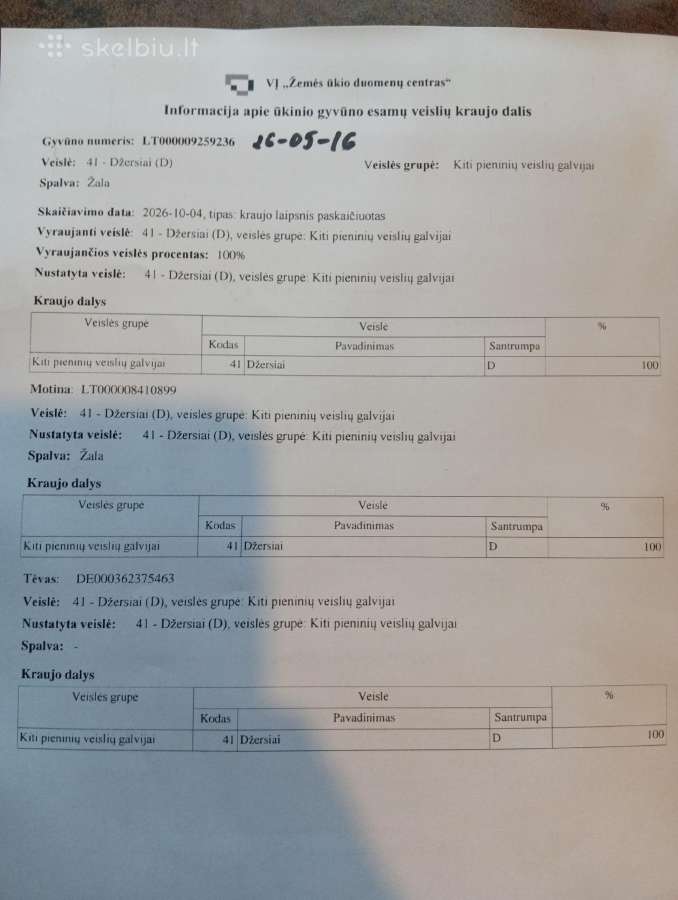 Džersiai - nuotraukos Nr. 2