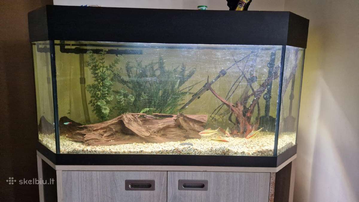 Akvariumas 240 L su priedais - nuotraukos Nr. 2