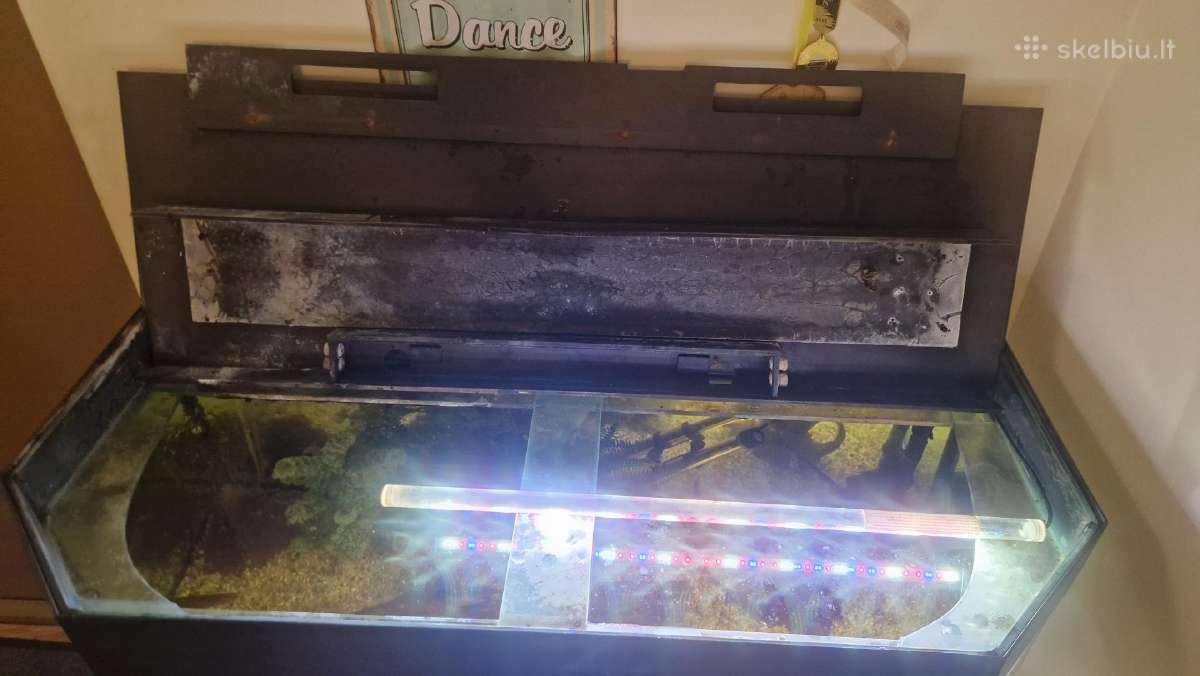 Akvariumas 240 L su priedais - nuotraukos Nr. 9
