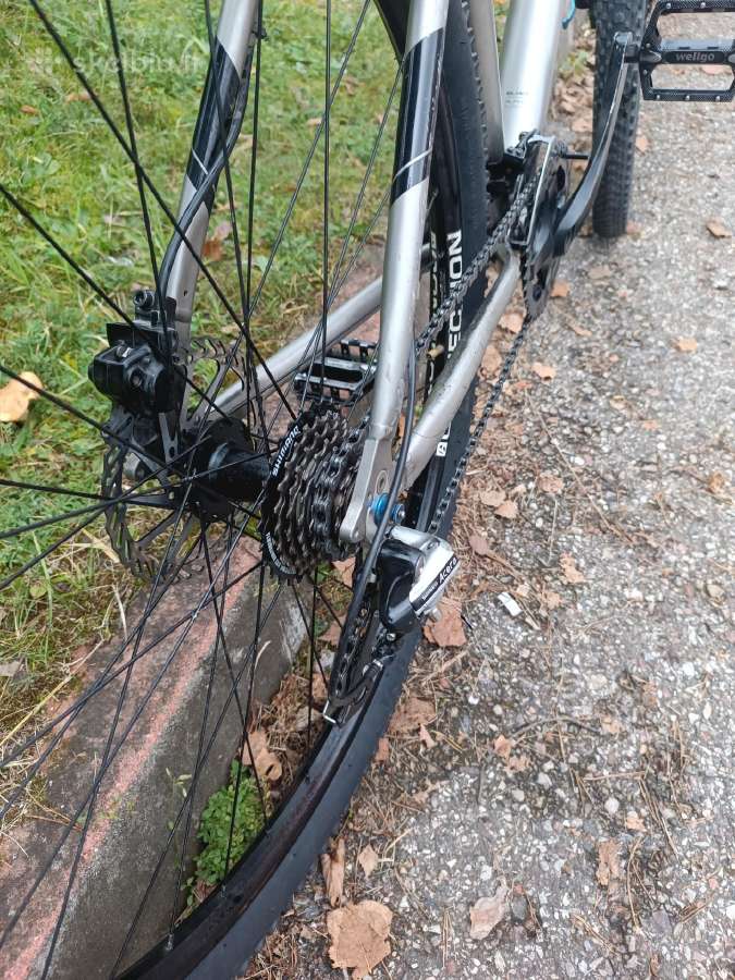 Trek,martin 5. - nuotraukos Nr. 3