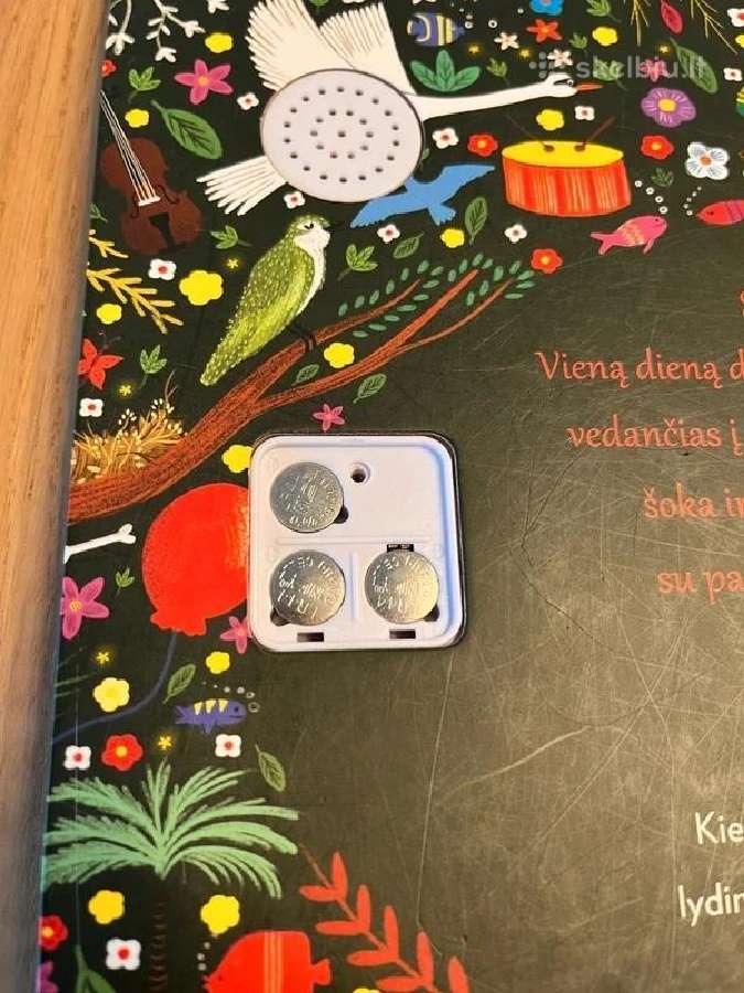Knyga: Muzikinė istorija. Žvėrių karnavalas, 2021 - nuotraukos Nr. 4