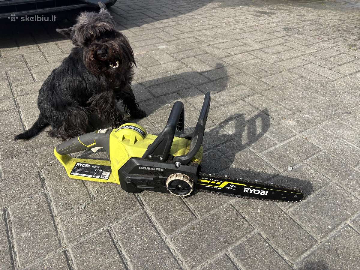 Ryobi Ocs1830 grandininis pjuklas, 18v - nuotraukos Nr. 4