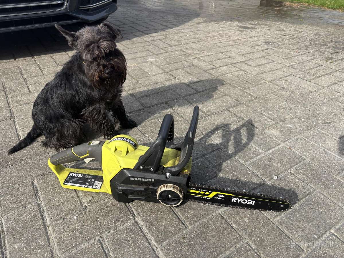 Ryobi Ocs1830 grandininis pjuklas, 18v - nuotraukos Nr. 5