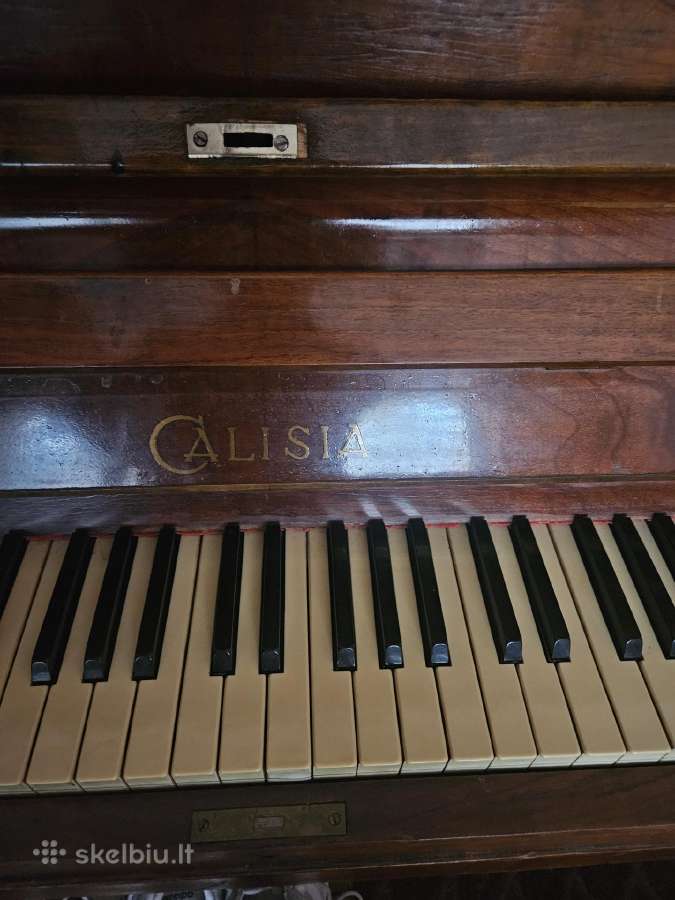 Pianinas Galisia - nuotraukos Nr. 2