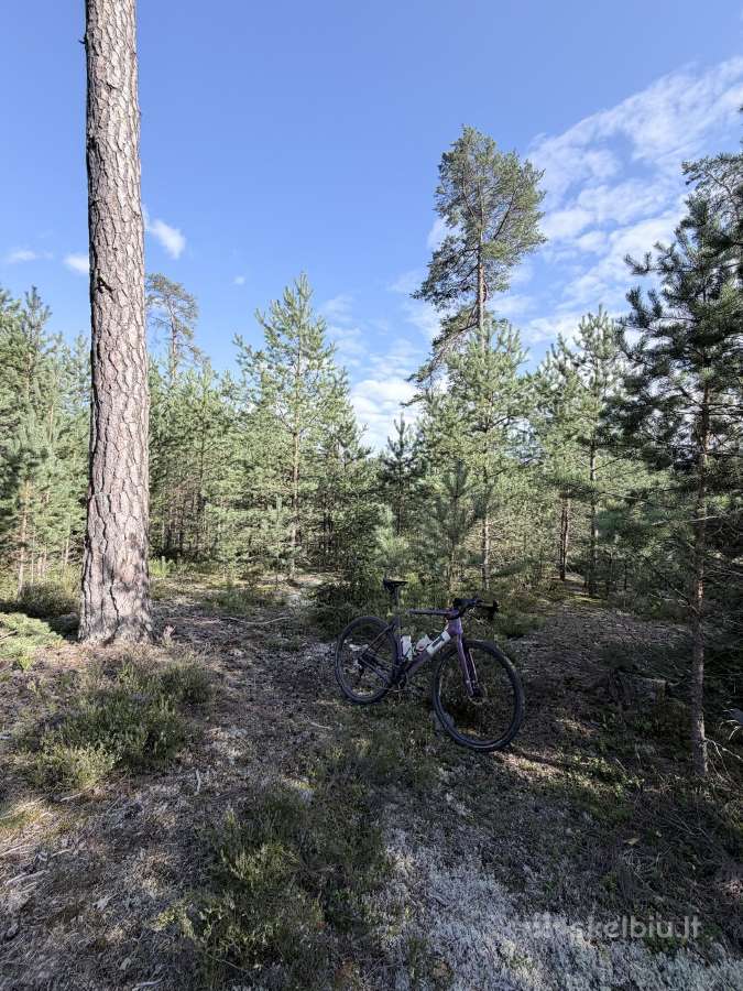 3t Exploro Primo 58cm - nuotraukos Nr. 11