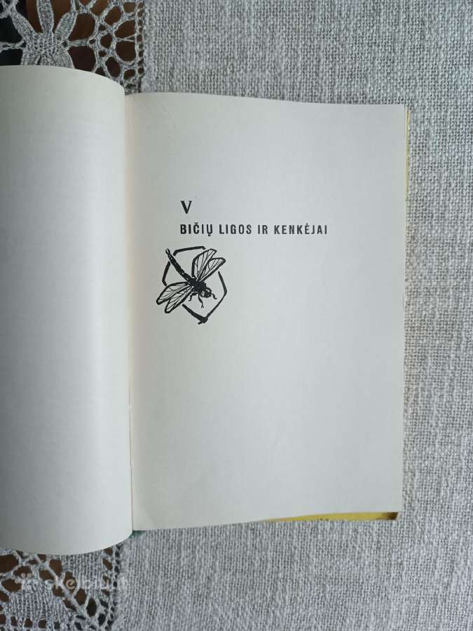 J.krikščiūnas Bitininkystė - nuotraukos Nr. 9