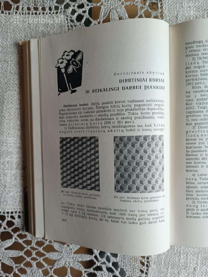 J.krikščiūnas Bitininkystė - nuotraukos Nr. 7