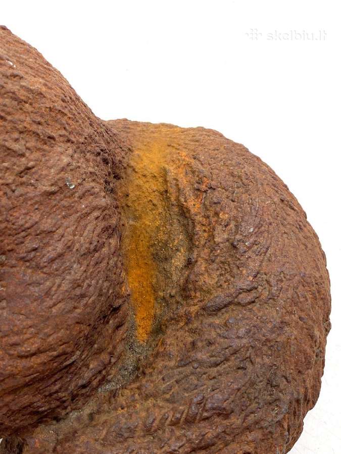 Ketaus lauko statula "Lapė" - nuotraukos Nr. 10