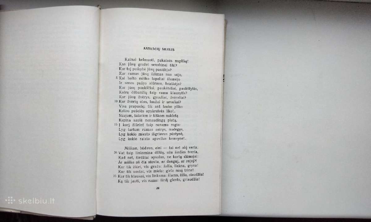 A. Baranauskas. Anykščių šilelis - nuotraukos Nr. 2