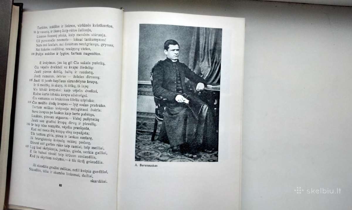 A. Baranauskas. Anykščių šilelis - nuotraukos Nr. 3