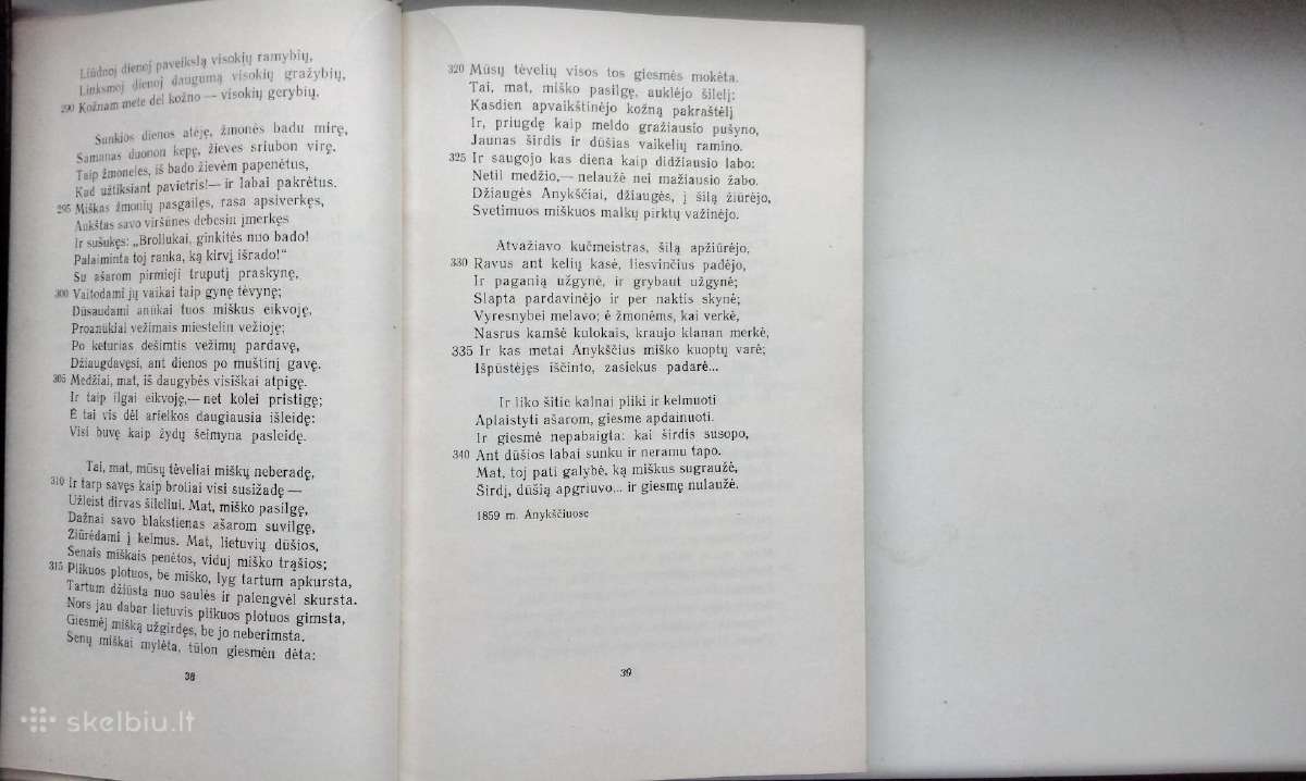 A. Baranauskas. Anykščių šilelis - nuotraukos Nr. 4