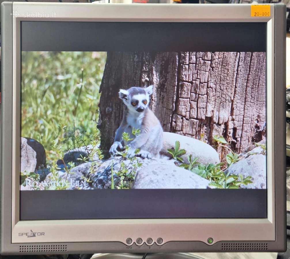 Kompiuterio monitorius "Spector 7005l" 17" - nuotraukos Nr. 6