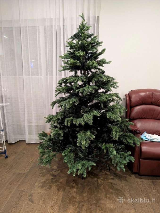 Dekoratyvinė najametinė eglutė 200-220cm - nuotraukos Nr. 4