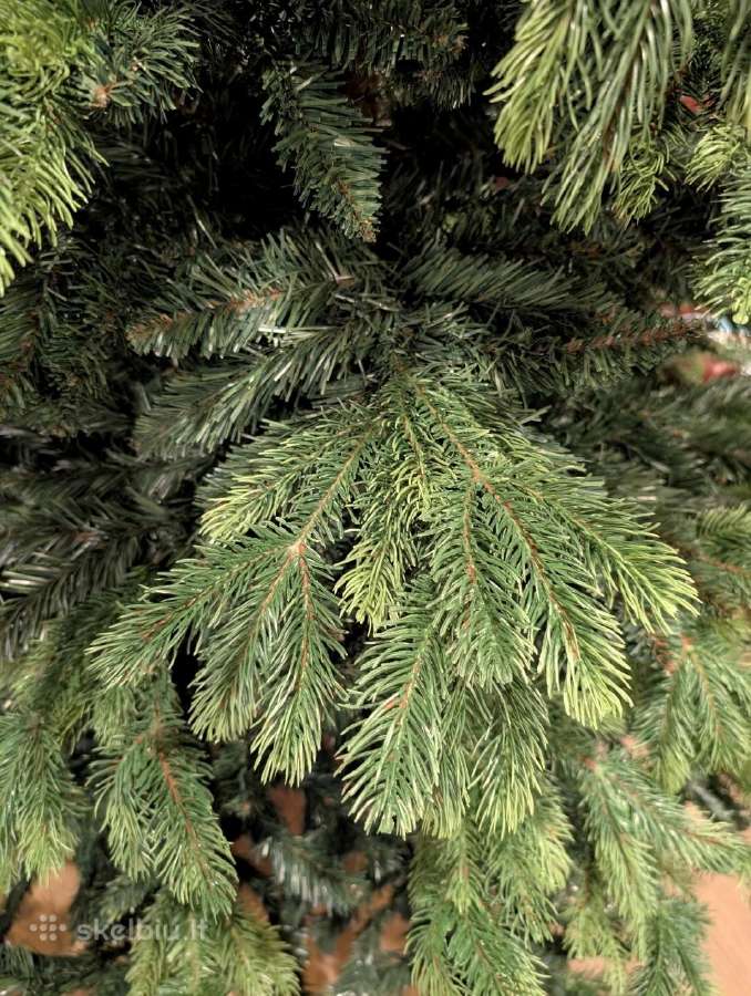 Dekoratyvinė najametinė eglutė 200-220cm - nuotraukos Nr. 6