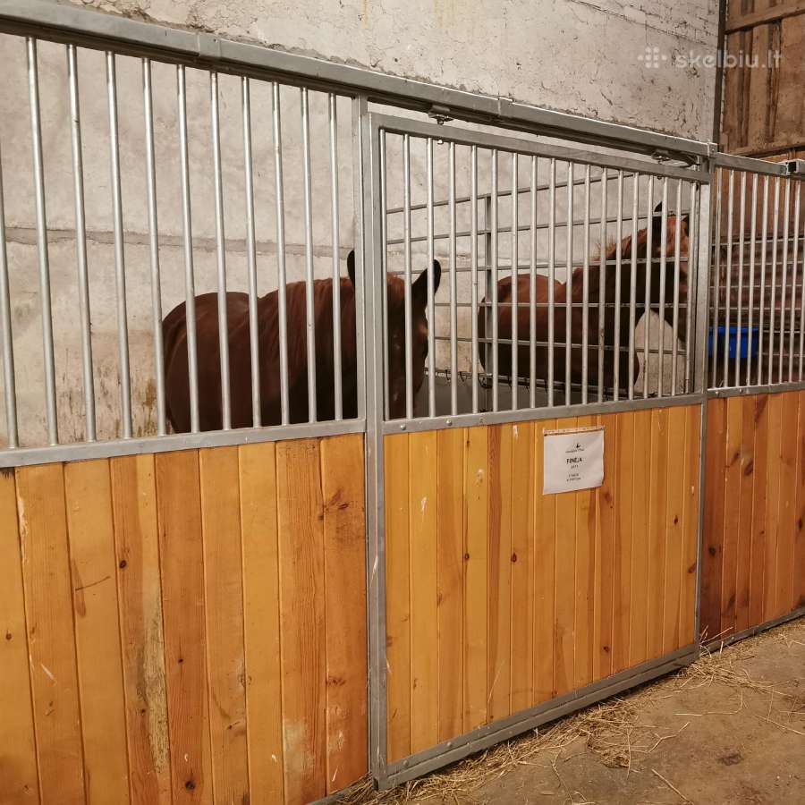 Arklininko (-ės) darbas žirgyne Vilniaus rajone - nuotraukos Nr. 4