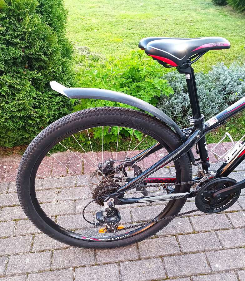 Mongoose - nuotraukos Nr. 4
