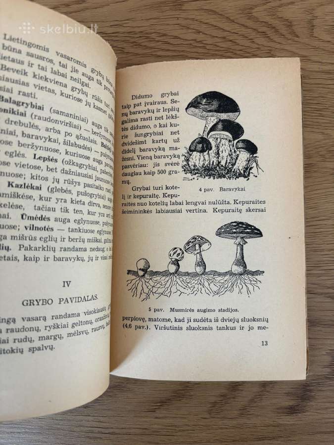 Grybų pasaulis (tarpukario laikų knyga) - nuotraukos Nr. 2