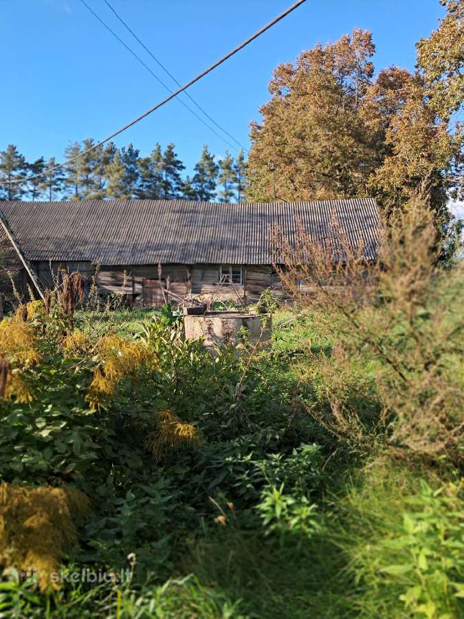 Parduodama sodyba- vienkiemis,dviejų galų. - nuotraukos Nr. 3