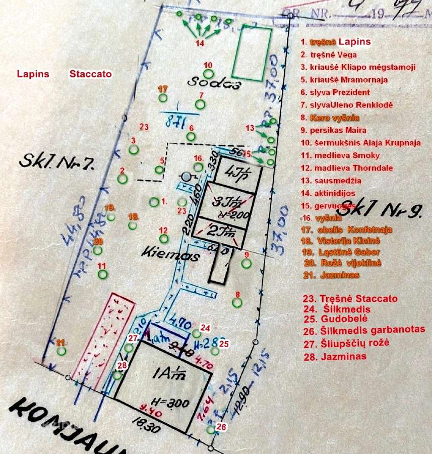 Tvarkingas namas Viekšnių centre - nuotraukos Nr. 37