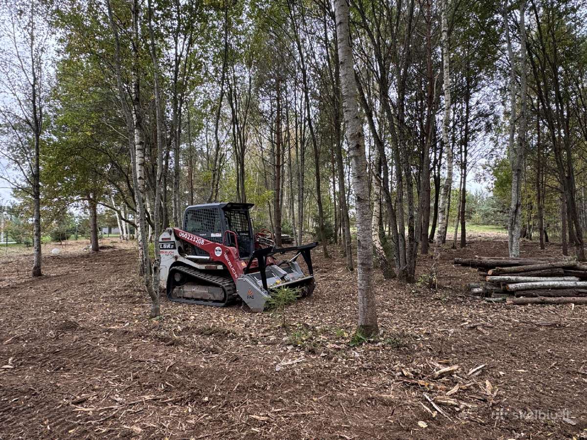 Apleistu sklypų tvarkimas,griovimo darbai - nuotraukos Nr. 2