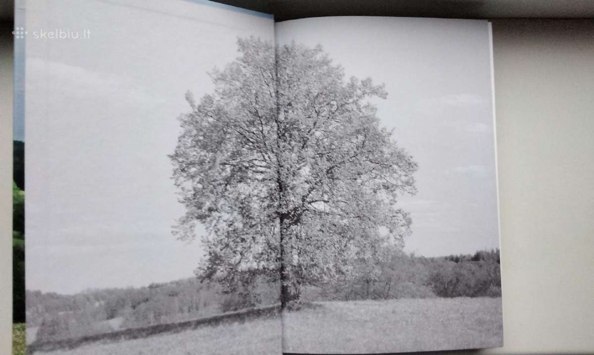 V. Vaitkevičius. Alkai. Baltų šventviečių studija - nuotraukos Nr. 2