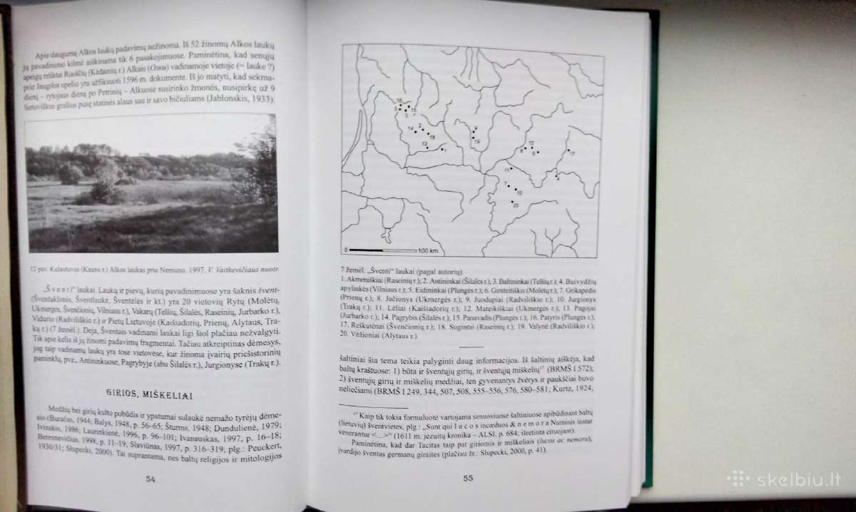 V. Vaitkevičius. Alkai. Baltų šventviečių studija - nuotraukos Nr. 15