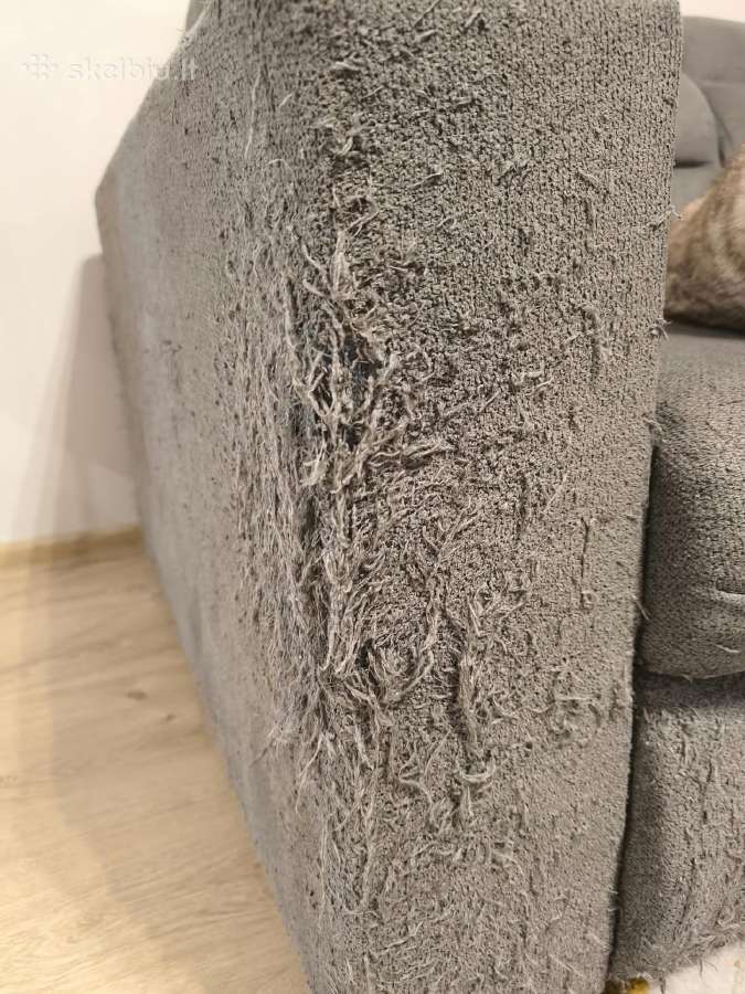 Sofa-lova - nuotraukos Nr. 2