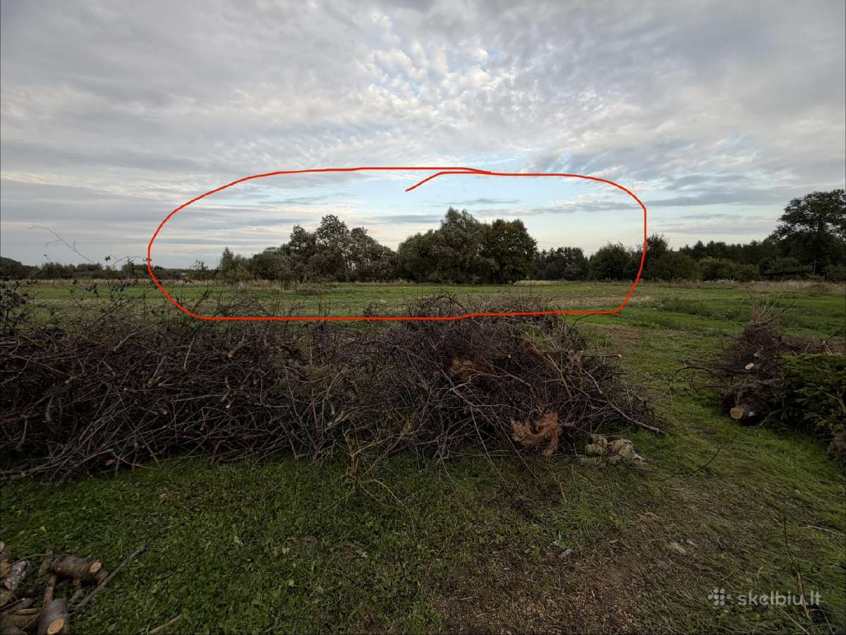 Medžiai ir šakos bio kurui atiduodu dovanoju - nuotraukos Nr. 12