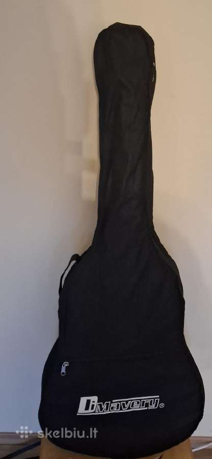 Gitara Ashton - nuotraukos Nr. 2