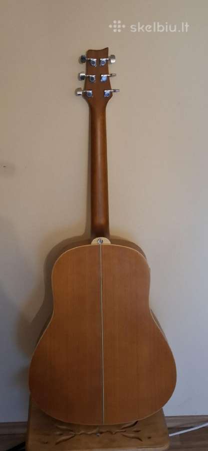 Gitara Ashton - nuotraukos Nr. 3