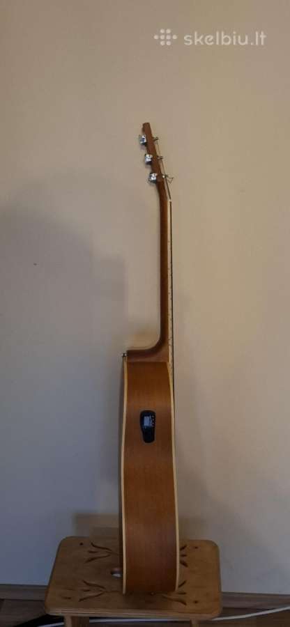 Gitara Ashton - nuotraukos Nr. 4