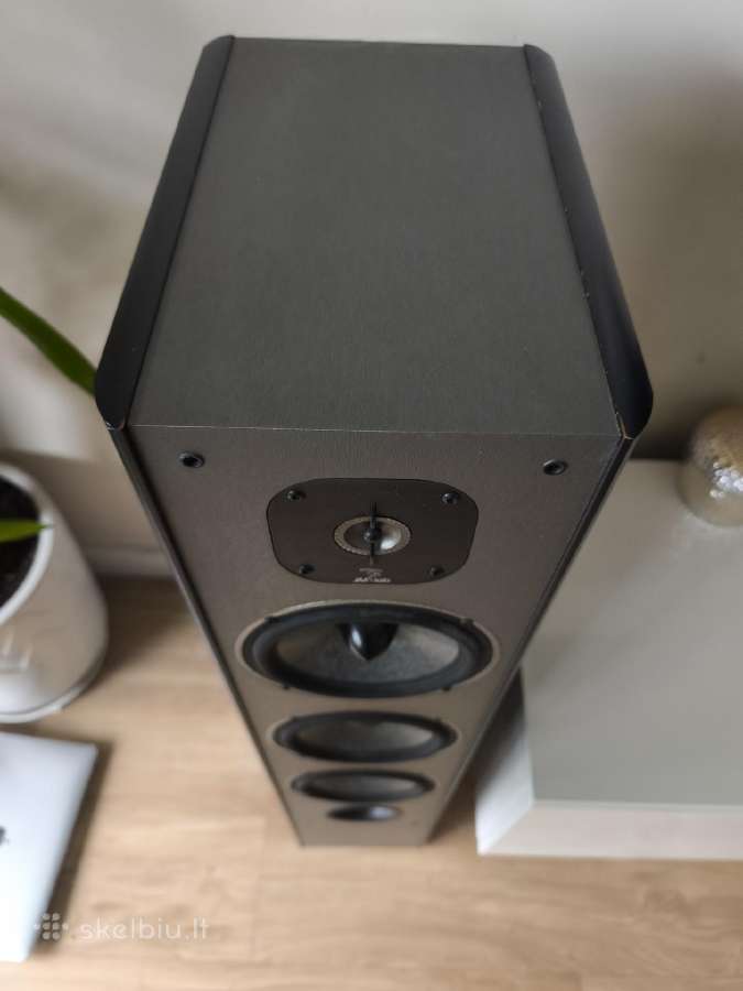 Focal cobalt 826 - nuotraukos Nr. 4