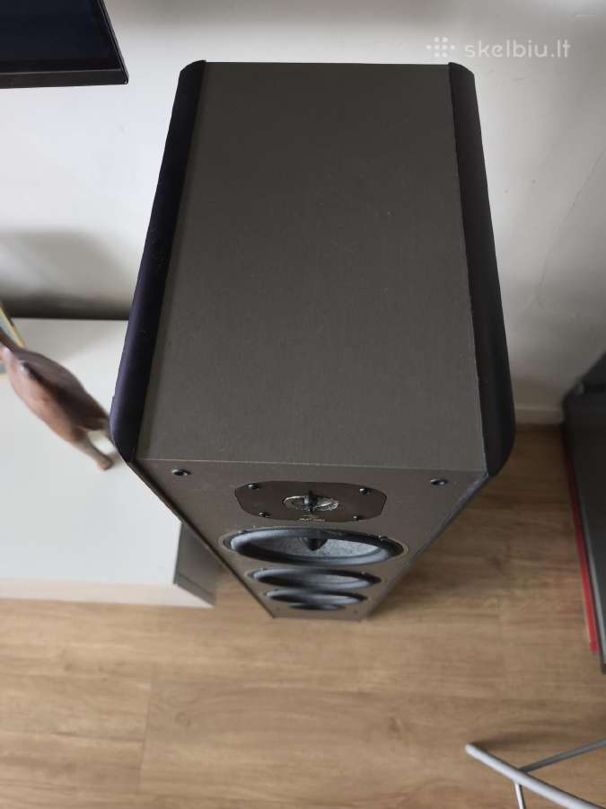 Focal cobalt 826 - nuotraukos Nr. 6
