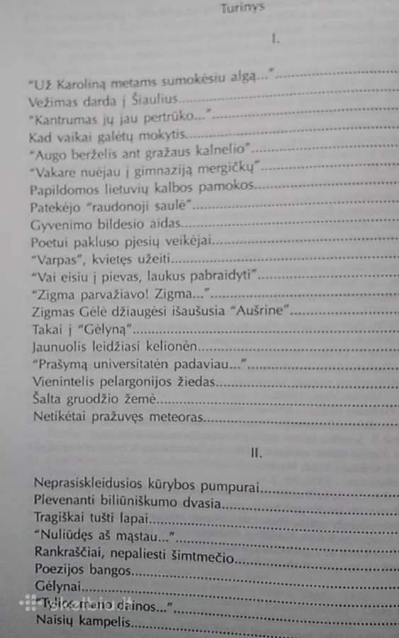 Ateik bangosna užmaršties - nuotraukos Nr. 7