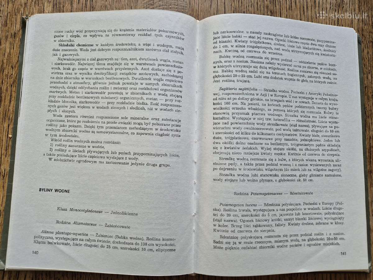 Rośliny ozdobne dla technikum terenw zieleni - nuotraukos Nr. 8