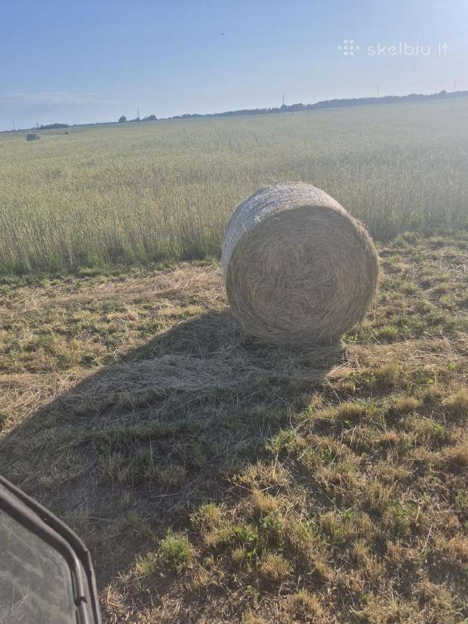 Parduodu sėtinu pievų šiena - nuotraukos Nr. 2