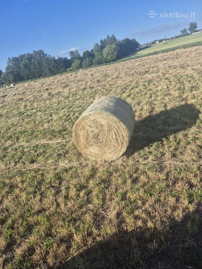 Parduodu sėtinu pievų šiena - nuotraukos Nr. 3
