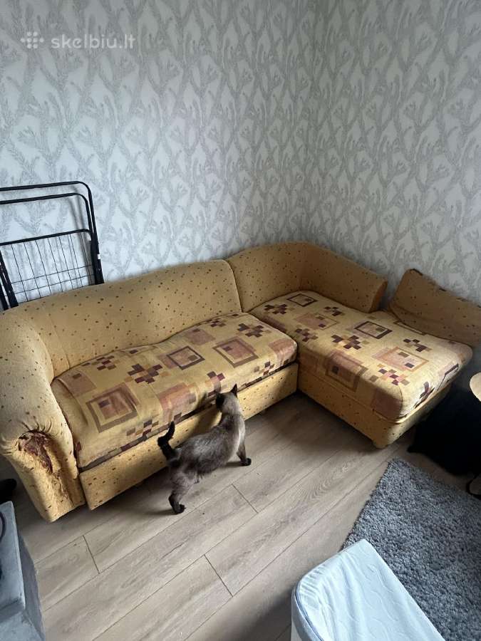 Sofa/lova - nuotraukos Nr. 2