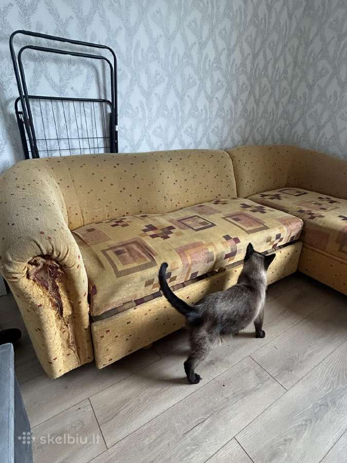 Sofa/lova - nuotraukos Nr. 3
