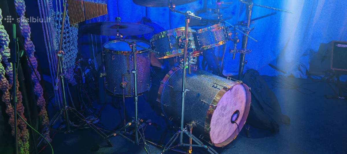 Animal Custom Maple - nuotraukos Nr. 10