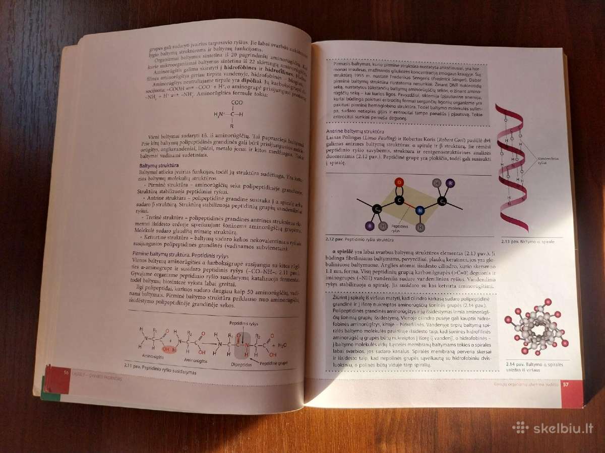 Parduodu 4 Biologija vadovėlius 11-12kl. - nuotraukos Nr. 8