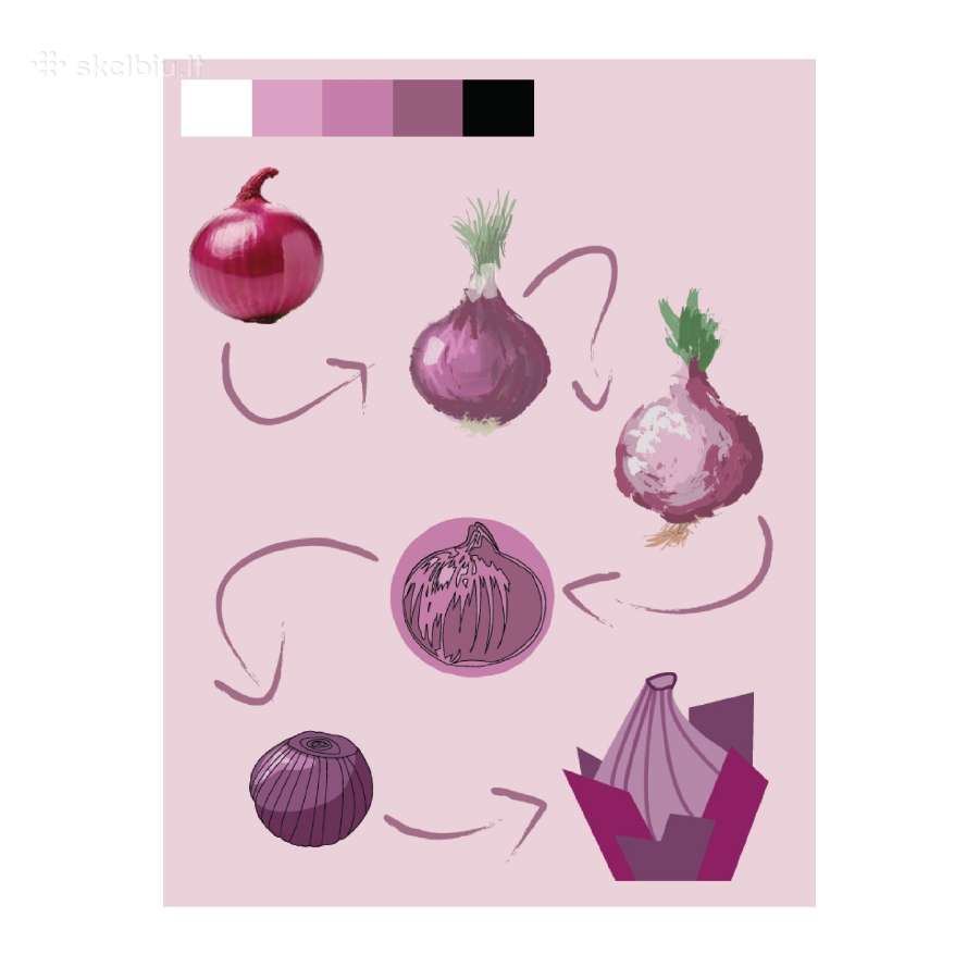 Grafikos dizaineris - nuotraukos Nr. 10