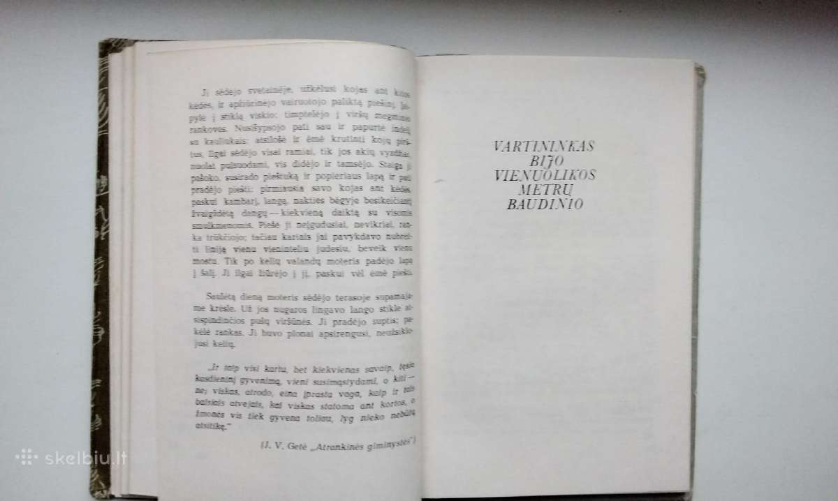 P. Handke. Kairiarankė moteris. Vartininkas bijo v - nuotraukos Nr. 6