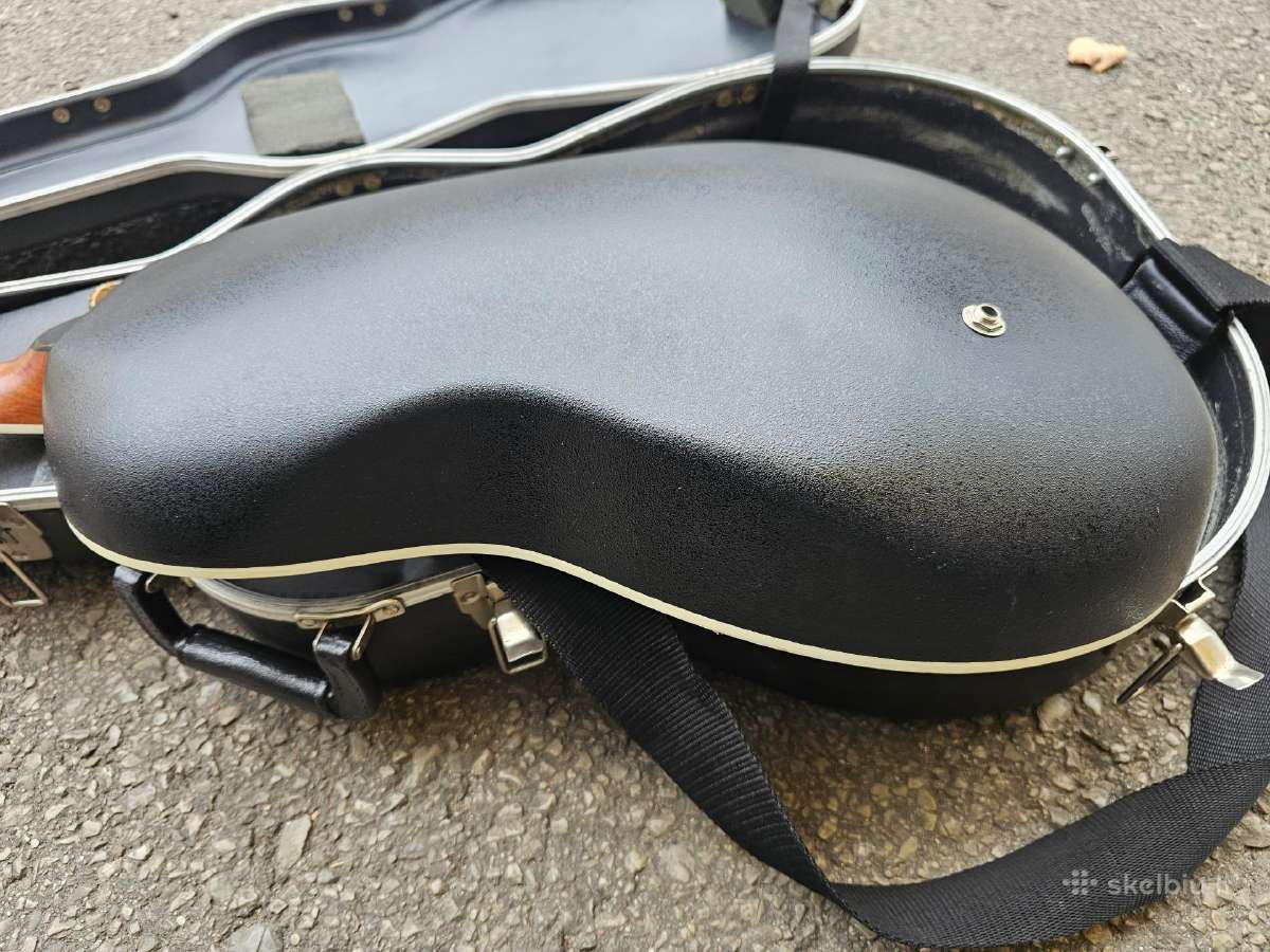 Gitara - nuotraukos Nr. 8